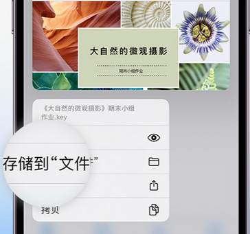 城东apple维修中心分享iPhone文件应用中存储和找到下载文件