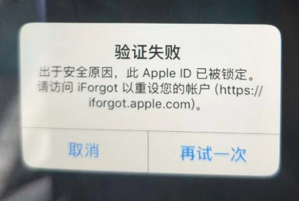 城东iPhone维修分享iPhone上正常登录或使用AppleID怎么办 