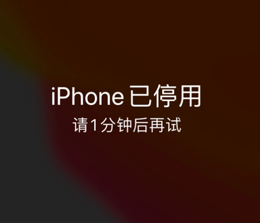 城东苹果手机维修分享:iPhone 显示“不可用”或“已停用”怎么办？还能保留数据吗？ 