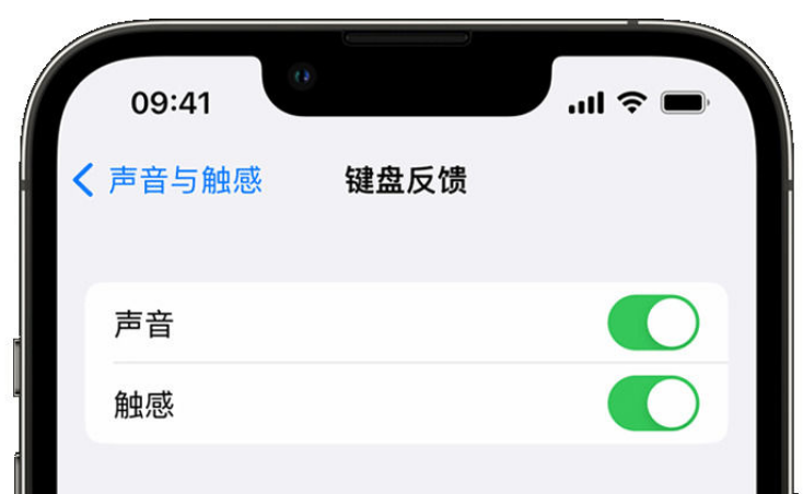 城东苹果手机维修分享iPhone 14触感键盘使用方法 