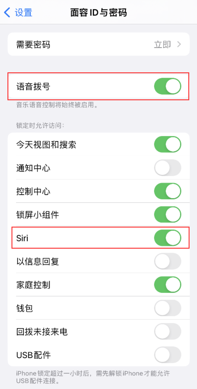 城东苹果维修网点分享不解锁 iPhone 的情况下通过 Siri 拨打电话的方法 