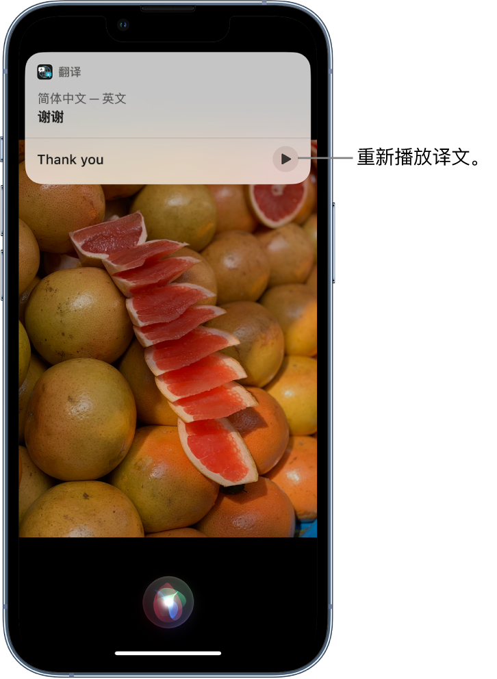 城东苹果14维修分享 iPhone 14 机型中使用 Siri：了解 Siri 能帮你做什么 