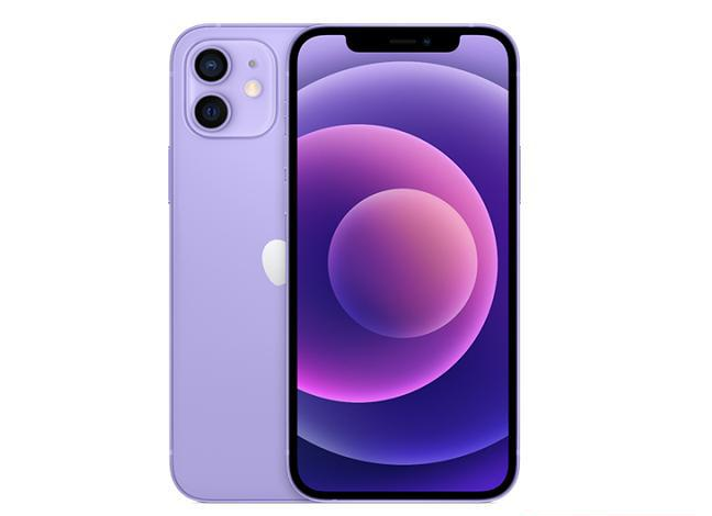 城东苹果手机维修分享现阶段要不要入手紫色版iPhone12 