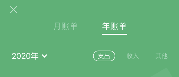 城东苹果手机维修分享如何在 iPhone 上查看支付宝和微信年支出账单 