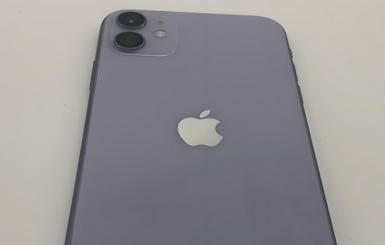 城东苹果11系统维修分享iPhone11手机系统崩溃无法开机如何解决 